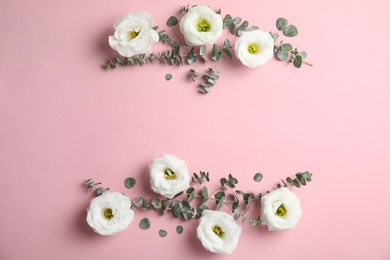 Eucalyptus branches with fresh green leaves and flowers on color background. Flat lay composition with space for design