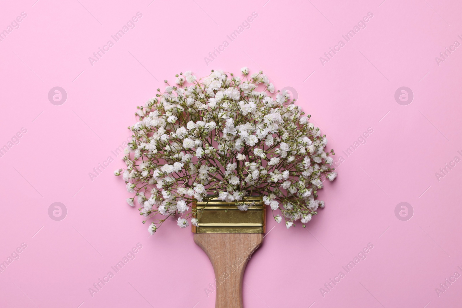 Photo of Creative composition with paint brush and gypsophila flowers on pink background, top view