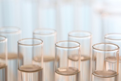 Photo of Laboratory analysis. Many glass test tubes on blurred background, closeup