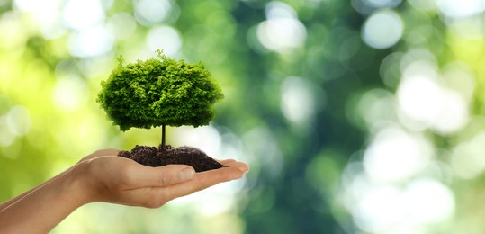 Image of Woman holding pile of soil with small tree on blurred green background, closeup. Eco friendly lifestyle 