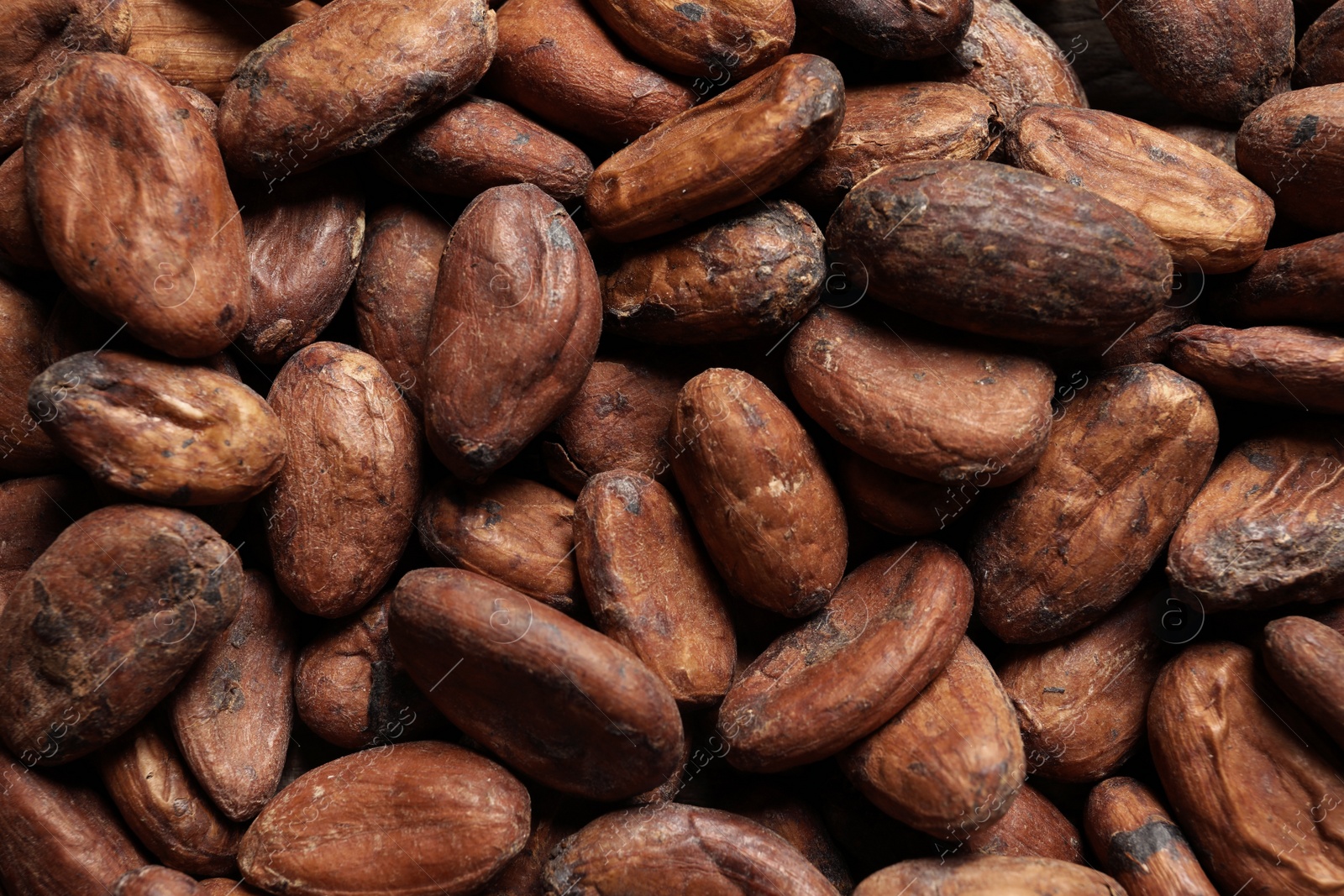 Photo of Tasty cocoa beans as background, closeup view