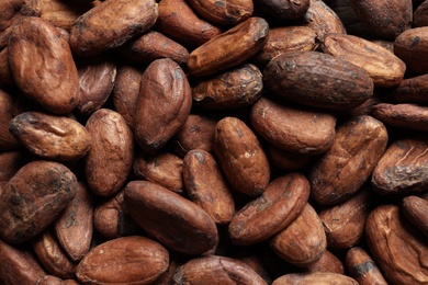 Tasty cocoa beans as background, closeup view