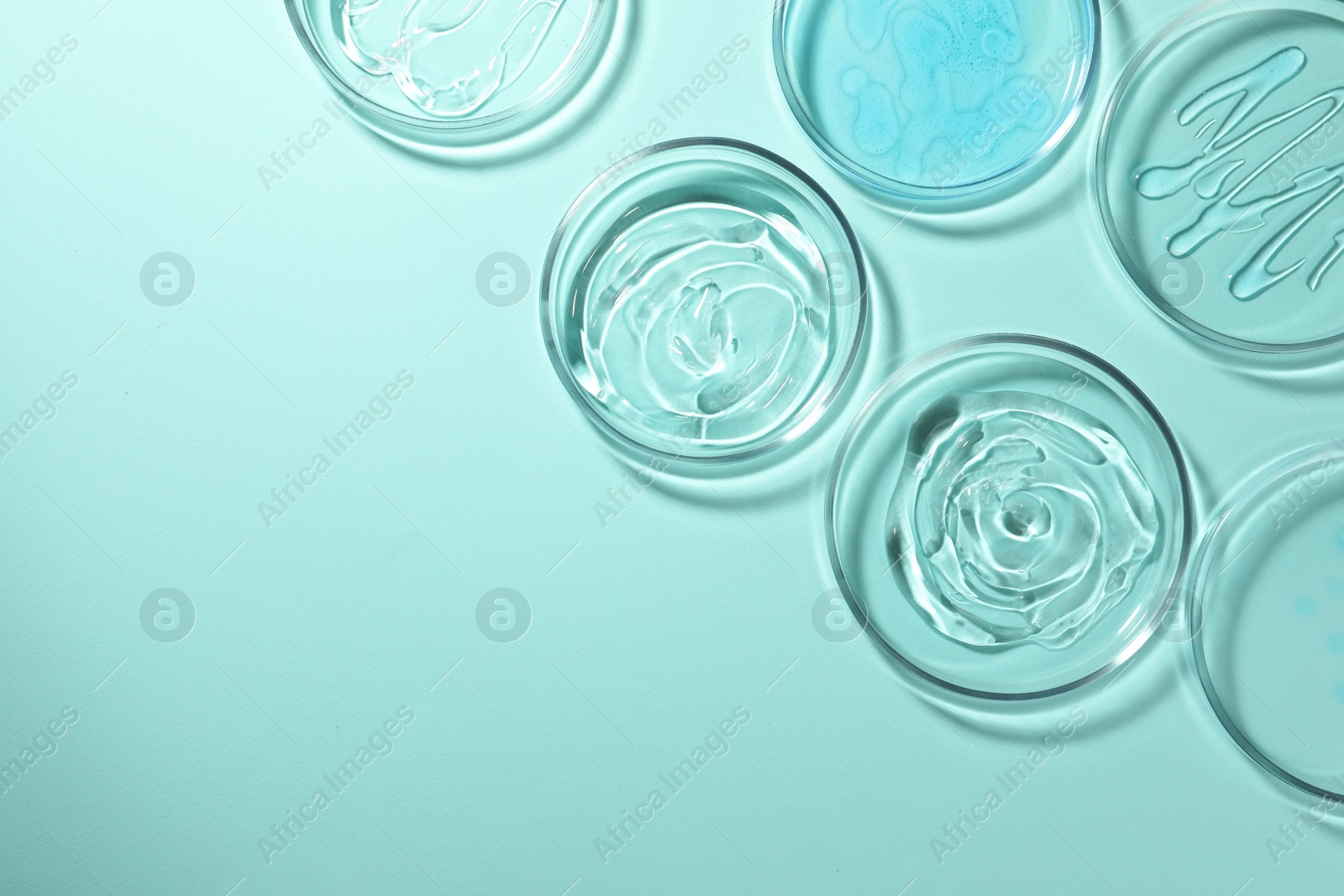 Photo of Petri dishes with liquids on turquoise background, flat lay. Space for text