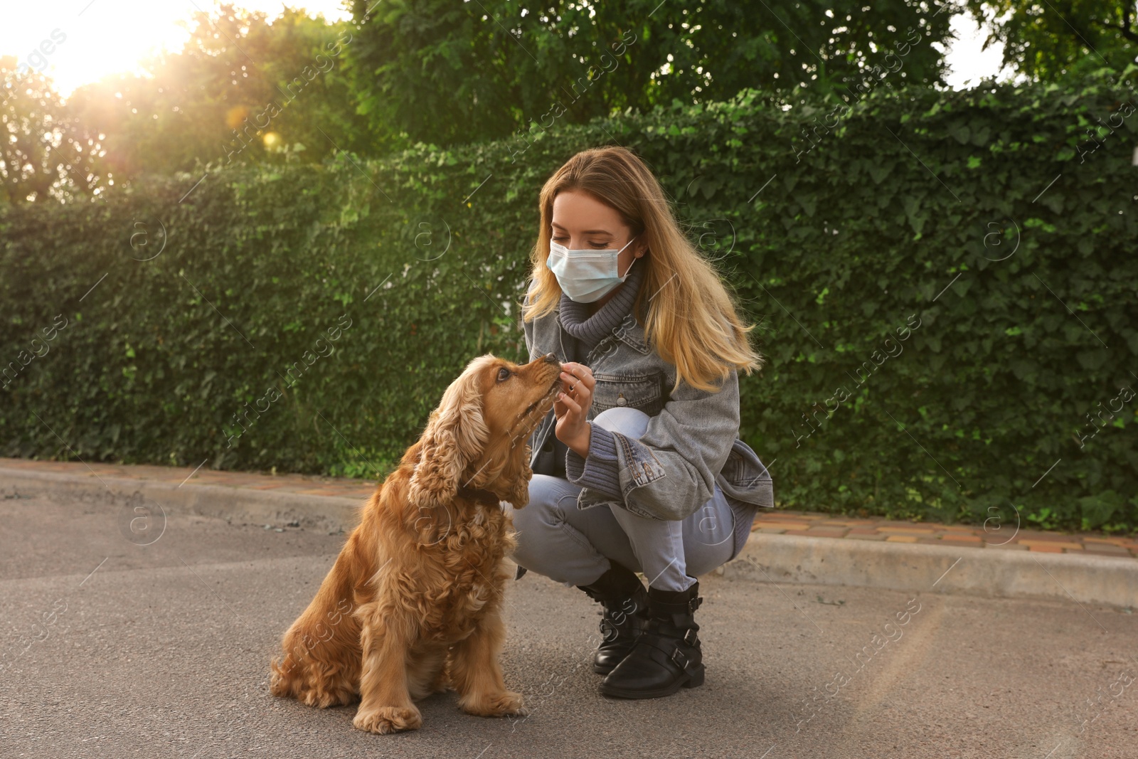 Photo of Woman in protective mask with English Cocker Spaniel outdoors. Walking dog during COVID-19 pandemic