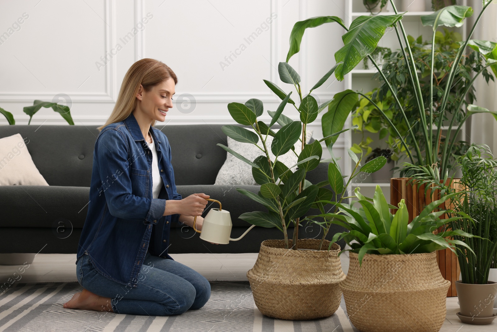 Photo of Woman watering beautiful potted houseplants at home