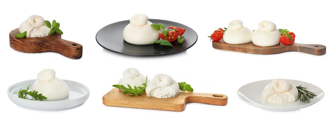 Image of Set with fresh delicious burrata cheese on white background. Banner design