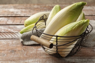 Photo of Fresh raw Belgian endives (chicory) in metal basket on wooden table, space for text
