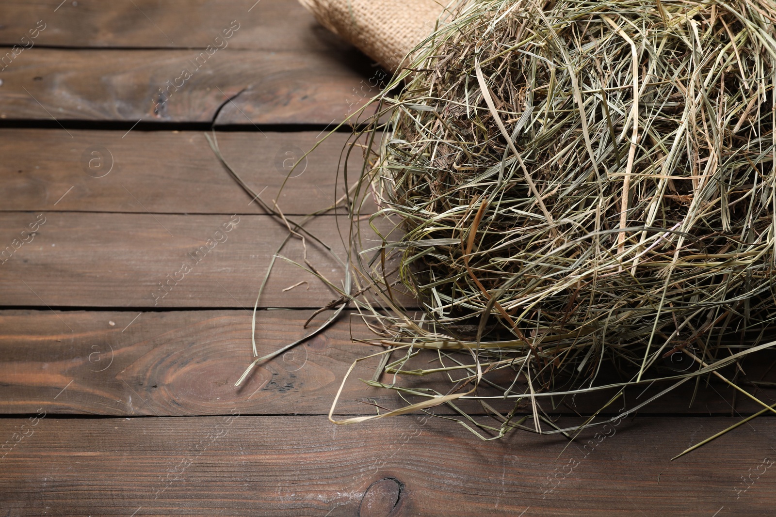 Photo of Burlap sack with dried hay on wooden table, closeup. Space for text