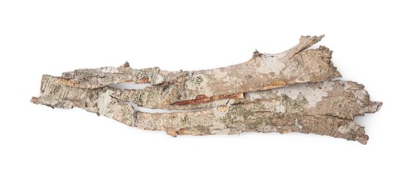 Photo of Tree bark piece on white background, top view