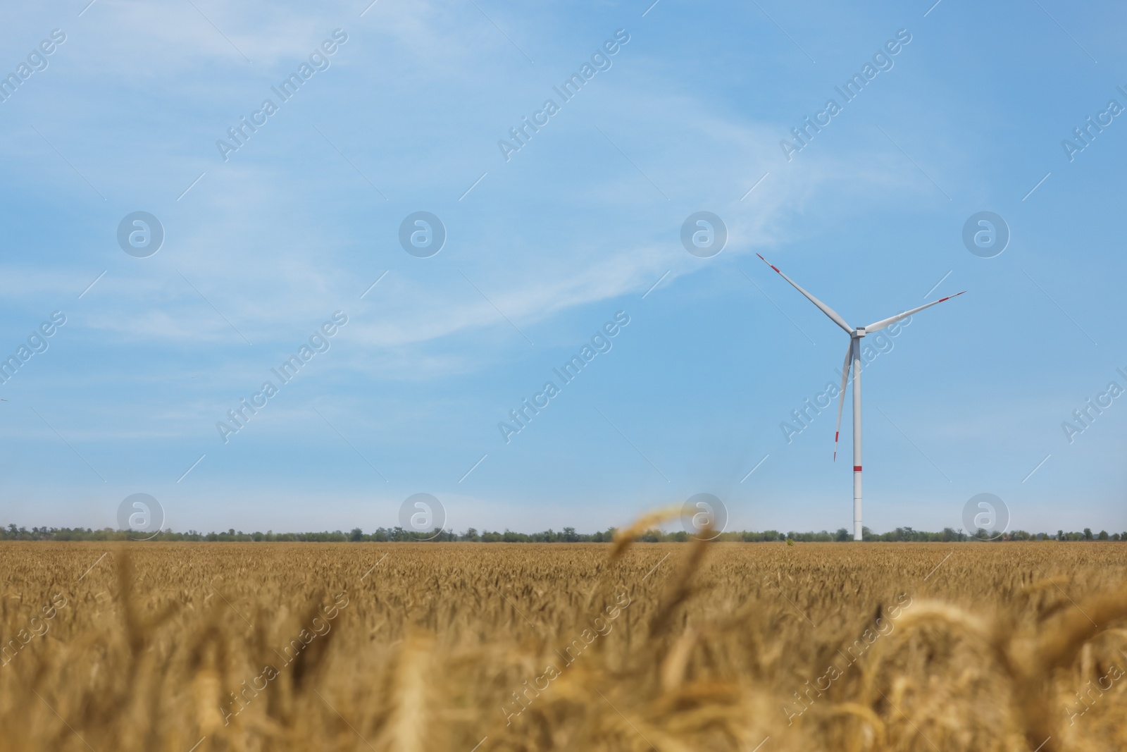 Photo of Modern wind turbine in wheat field. Energy efficiency