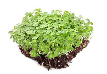 Fresh organic microgreen seeds on white background