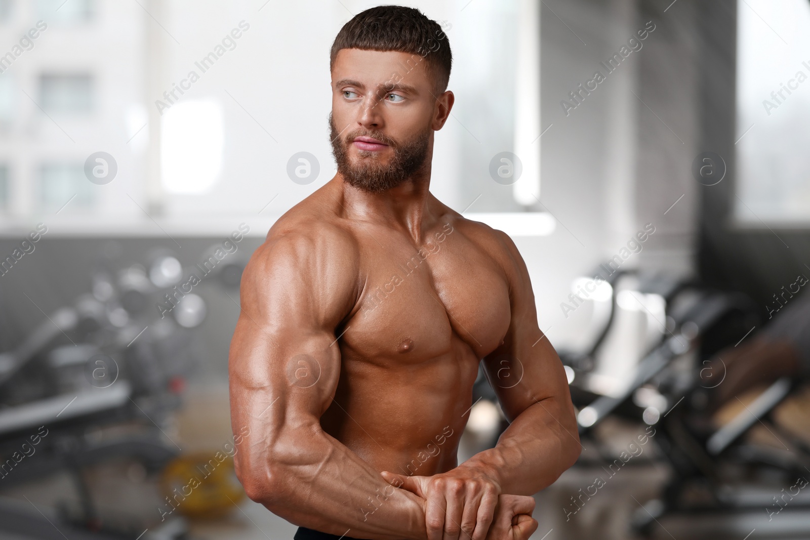 Image of Handsome bodybuilder showing his muscular arm in gym