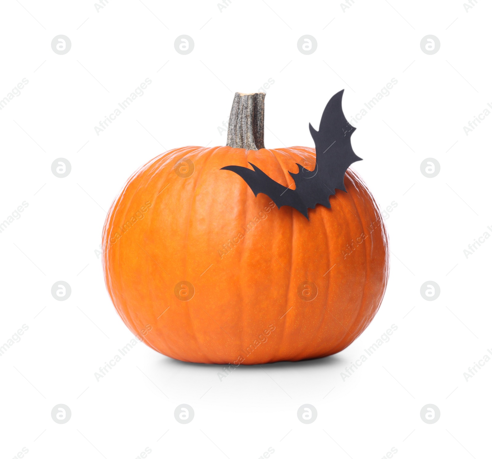 Photo of Orange pumpkin with black paper bat isolated on white. Halloween decor