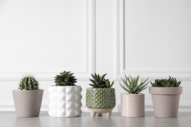 Different house plants in pots on light table