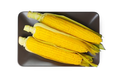 Plate with tasty cooked corn cobs on white background, top view