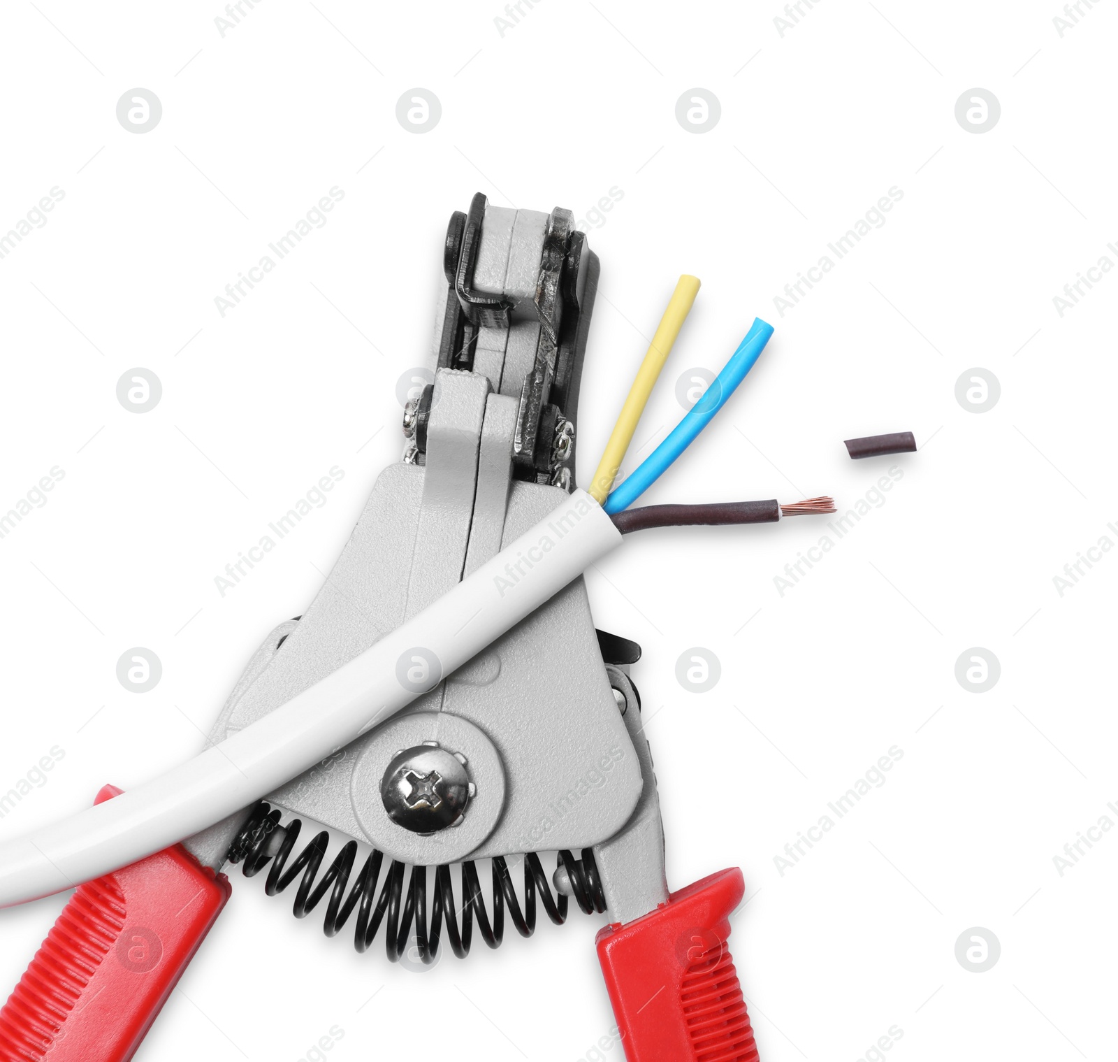 Photo of Cutters and stripped wire isolated on white, top view