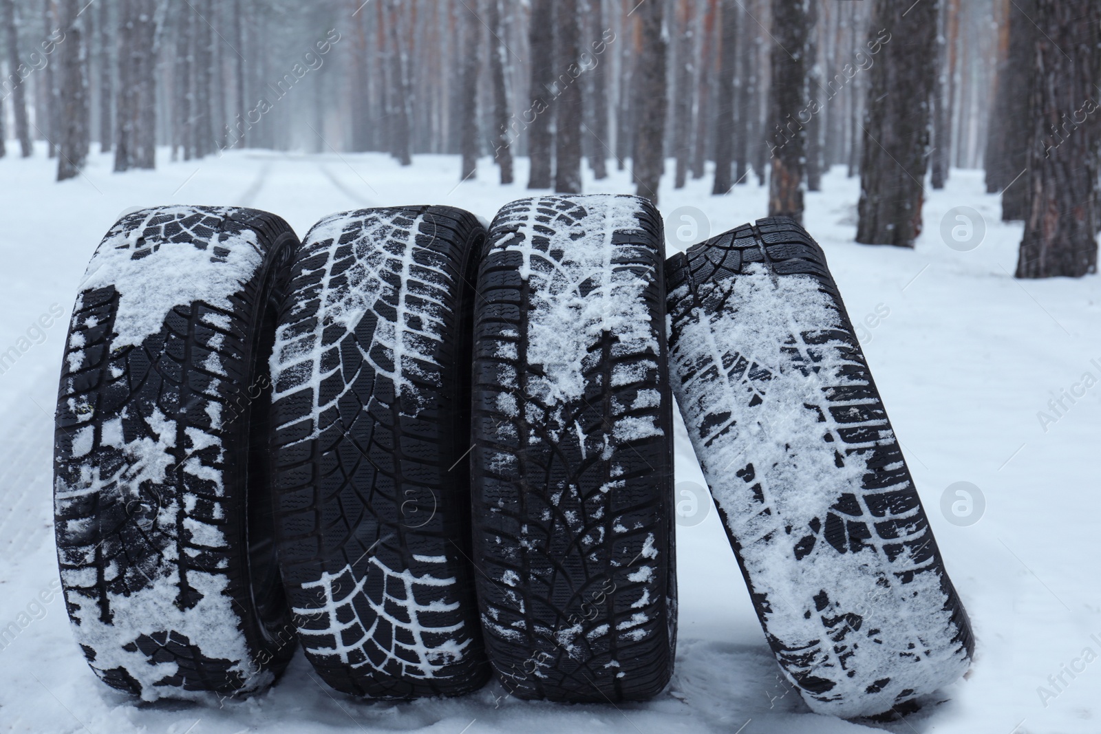 Photo of New winter tires on fresh snow near forest