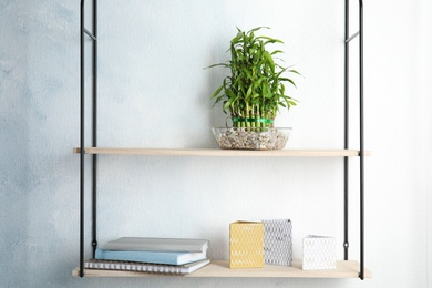 Photo of Shelves with green lucky bamboo in glass bowl and decor on light wall