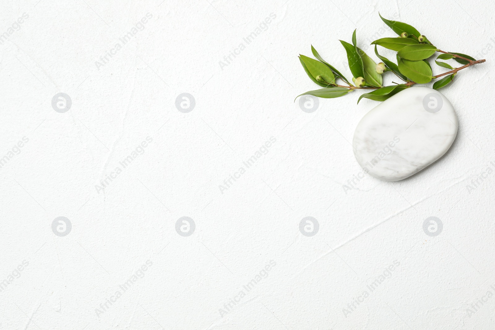 Photo of Spa stone and branch of plant on white table, flat lay. Space for text