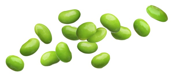 Image of Delicious edamame soybeans flying on white background