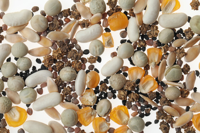 Mix of vegetable seeds on white background, top view