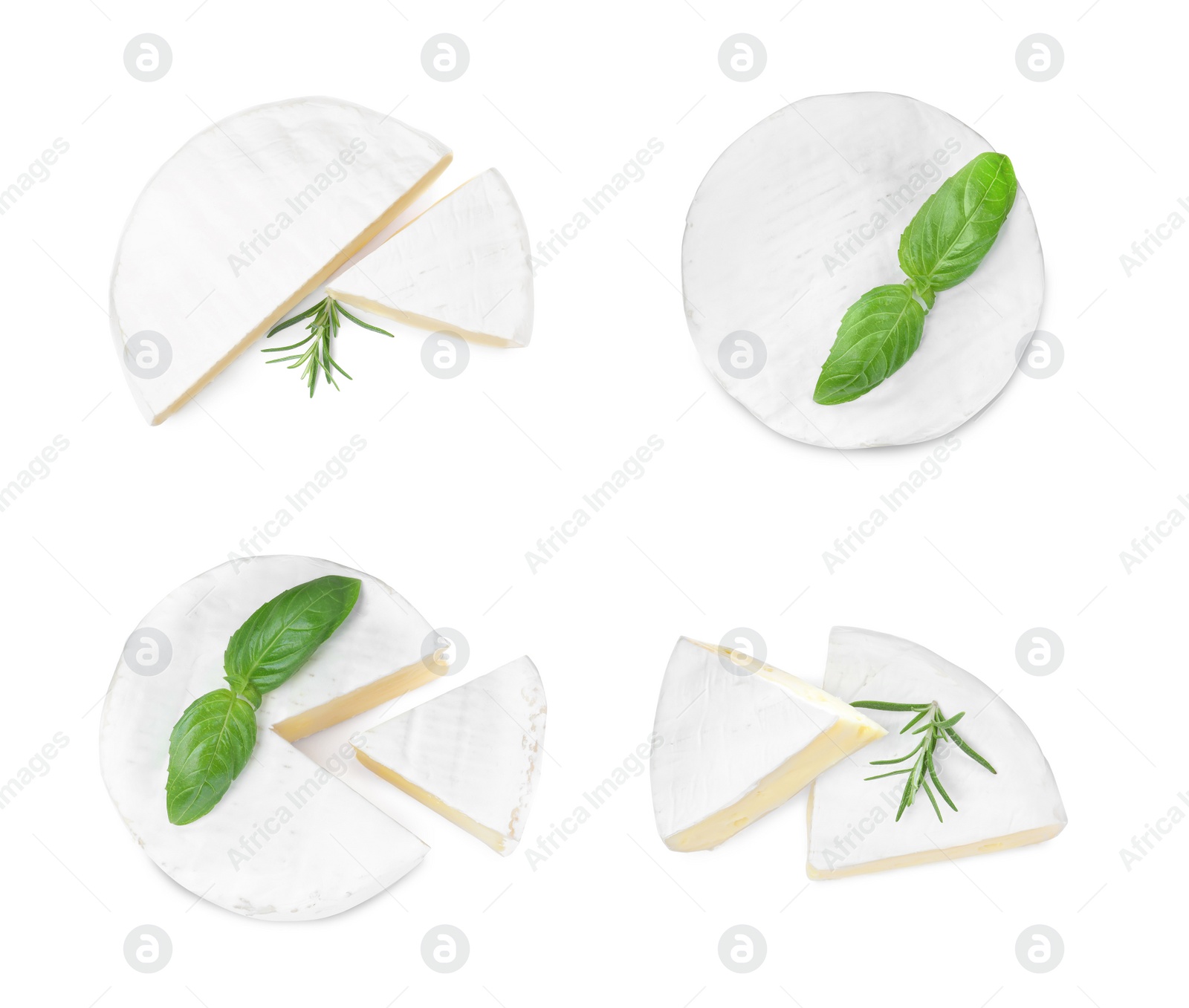 Image of Set with delicious brie cheese on white background, top view