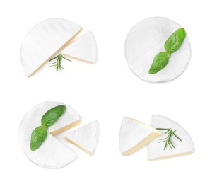 Image of Set with delicious brie cheese on white background, top view