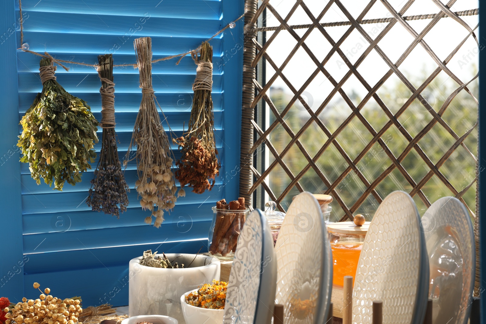 Photo of Many different dry herbs, flowers and plates on table near window