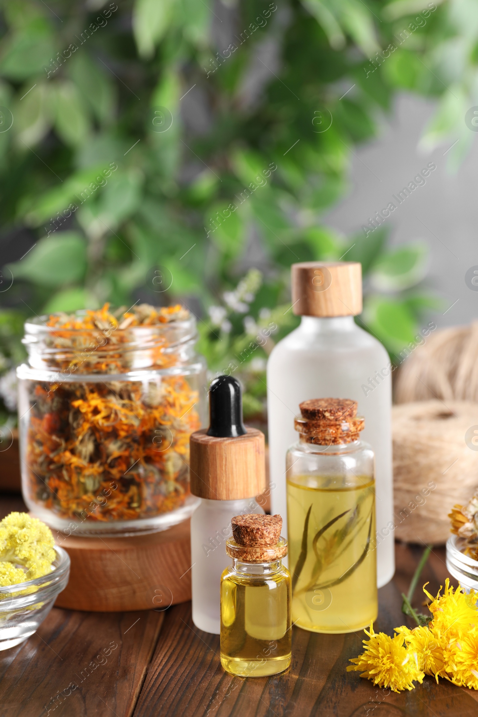 Photo of Bottles of essential oils and different herbs on wooden table