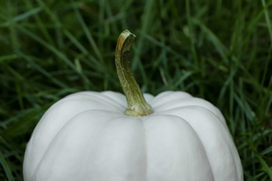 Photo of Whole white pumpkin among green grass outdoors, closeup