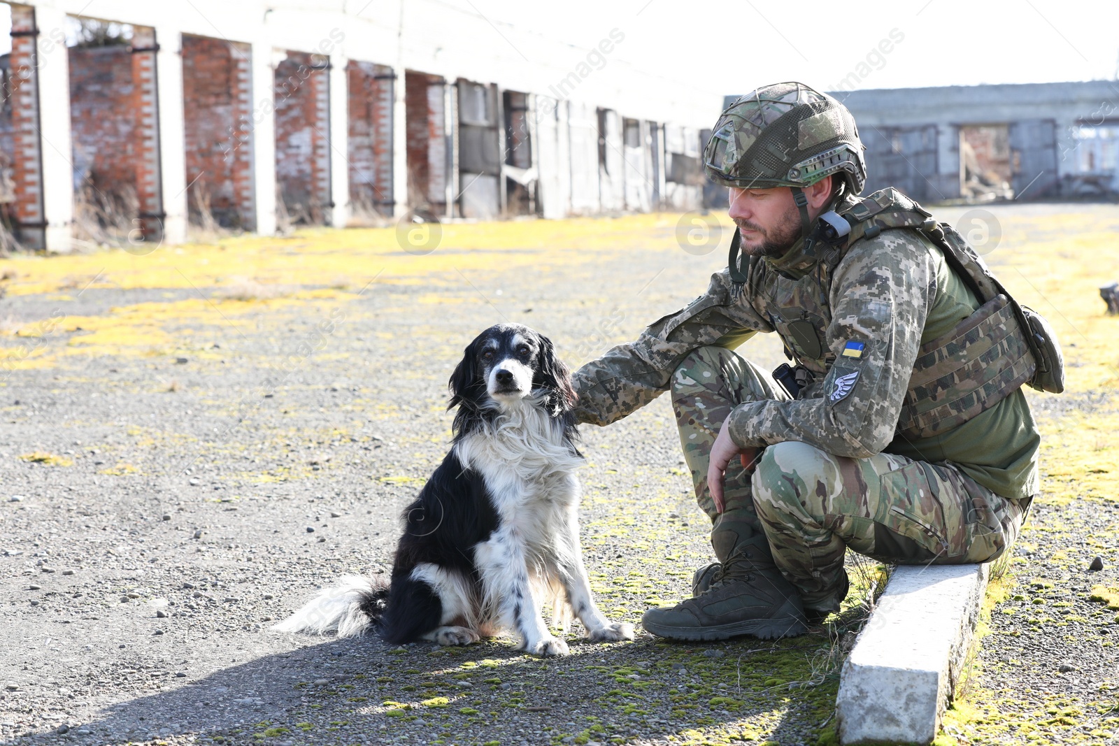 Photo of Ukrainian soldier with stray dog outdoors on sunny day. Space for text