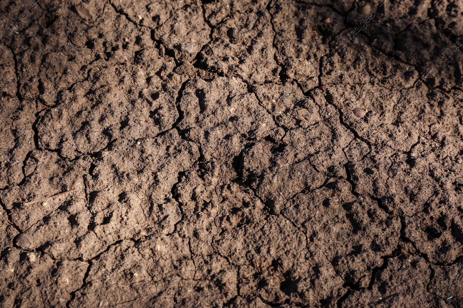 Photo of Cracked ground surface as background, top view. Thirsty soil