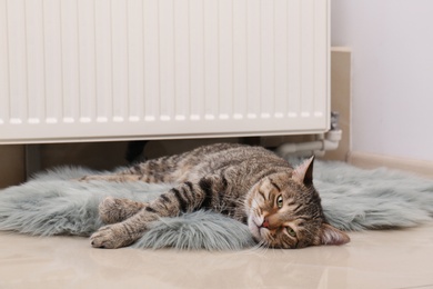 Photo of Cute tabby cat on faux fur rug near heating radiator indoors