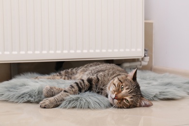 Cute tabby cat on faux fur rug near heating radiator indoors