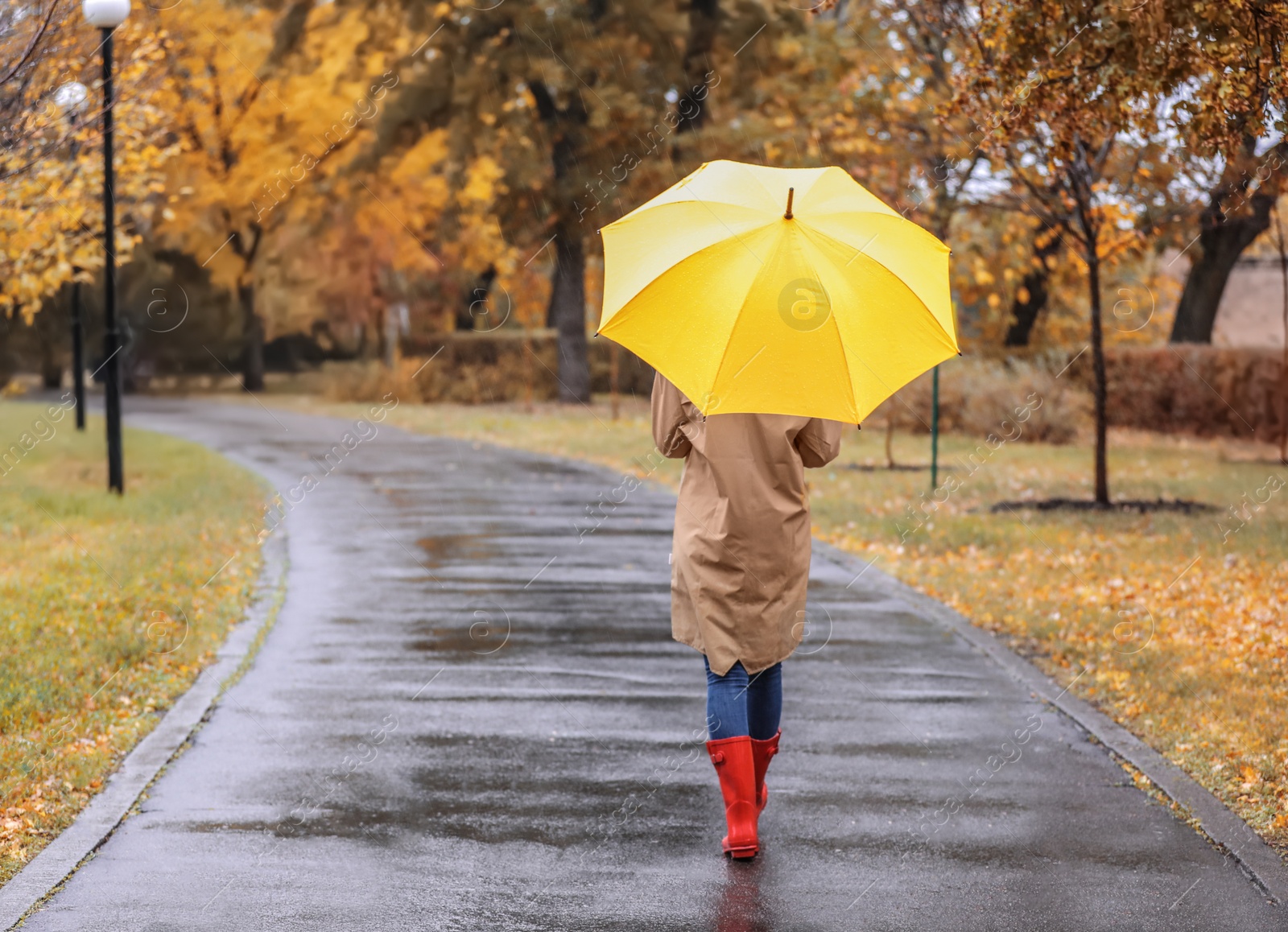 Photo of Woman with umbrella taking walk in autumn park on rainy day