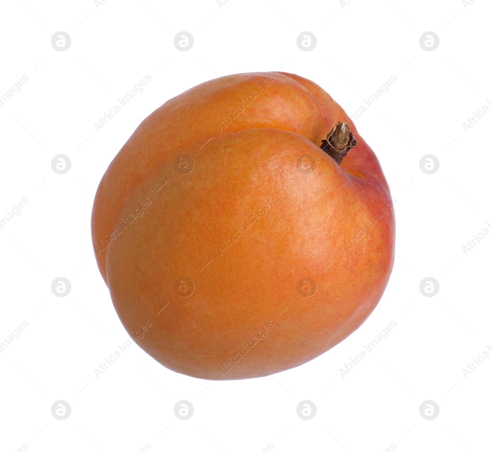 Photo of Delicious fresh ripe apricot isolated on white