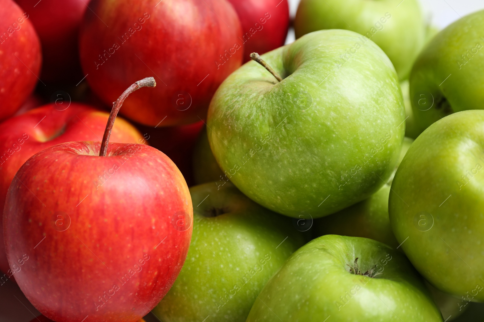 Photo of Fresh green and red apples, closeup