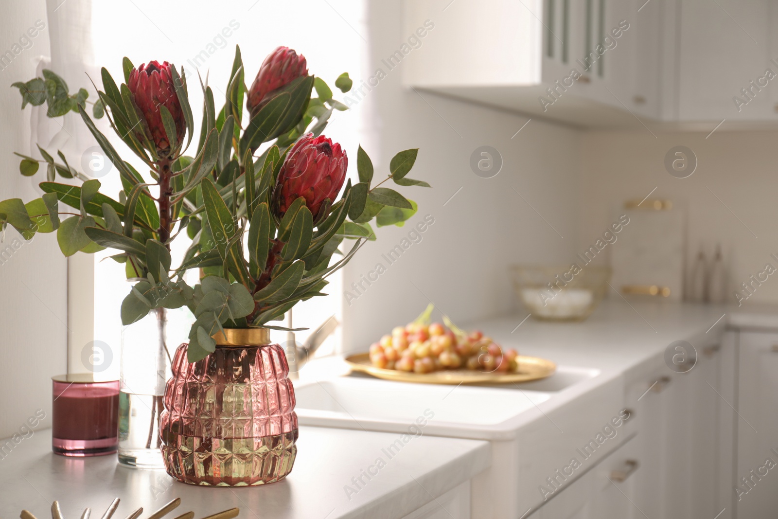 Photo of Beautiful protea flowers on countertop in kitchen, space for text. Interior design