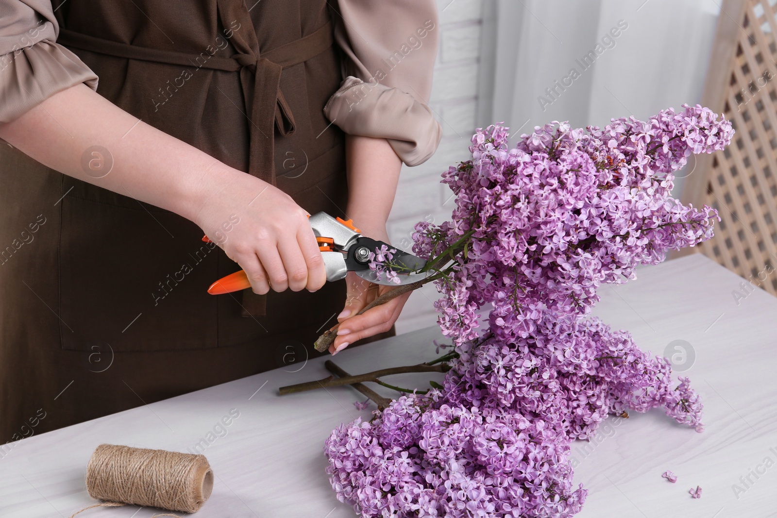 Photo of Woman trimming lilac branches with secateurs at white wooden table, closeup