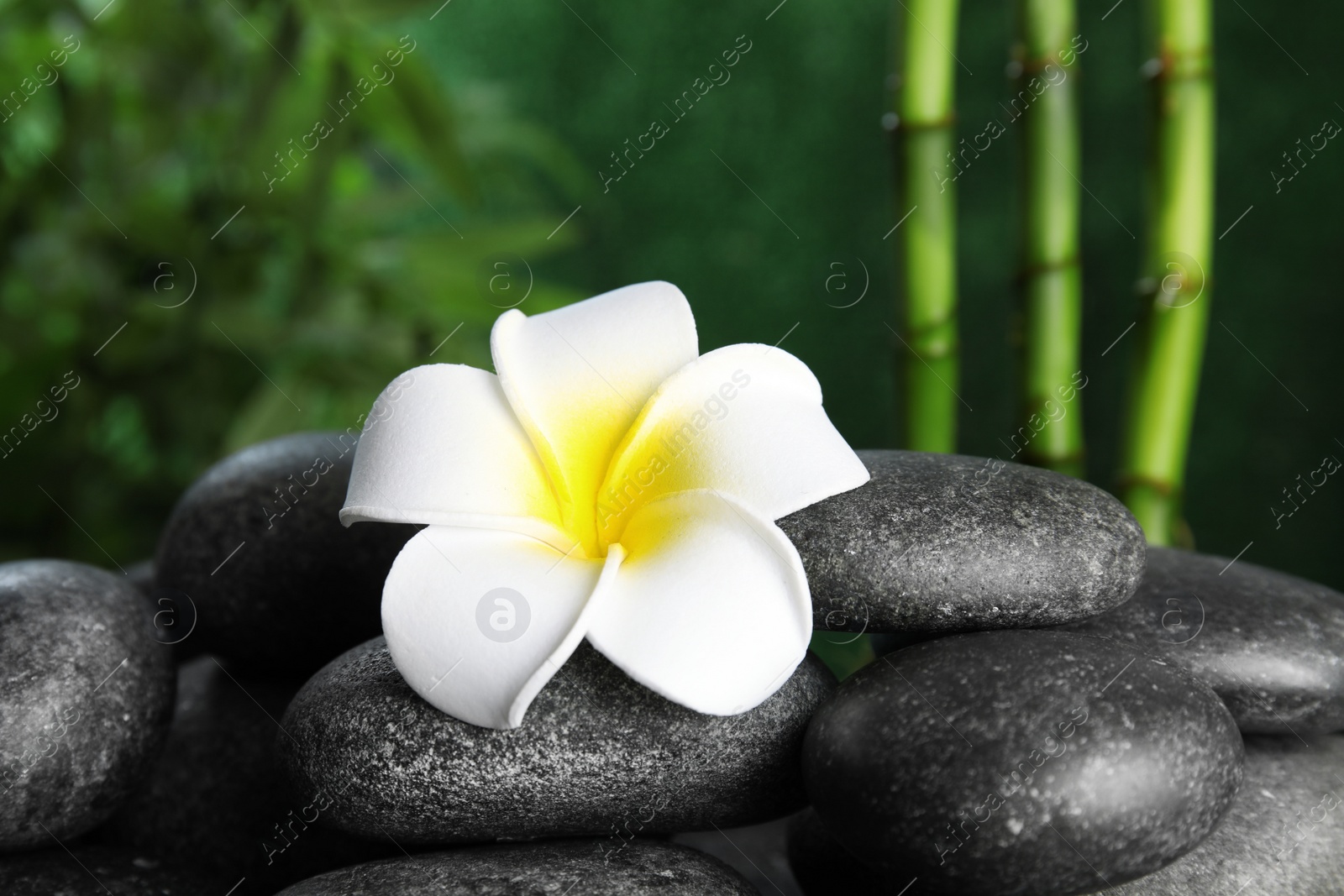 Photo of Zen stones and exotic flower on table against blurred background