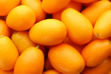 Photo of Many fresh ripe kumquats as background, closeup