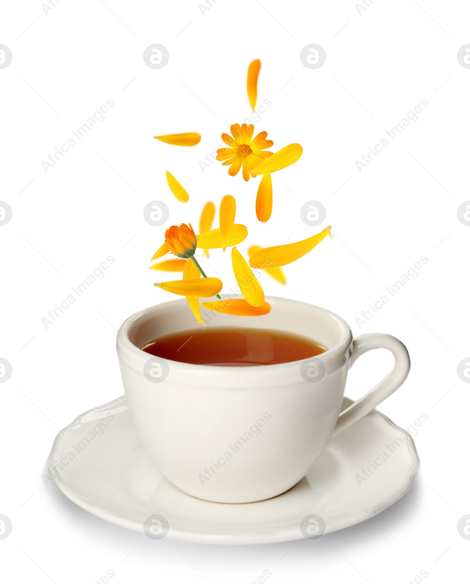 Image of Beautiful calendula flowers and petals falling into cup of freshly brewed tea on white background 