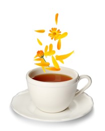 Beautiful calendula flowers and petals falling into cup of freshly brewed tea on white background 