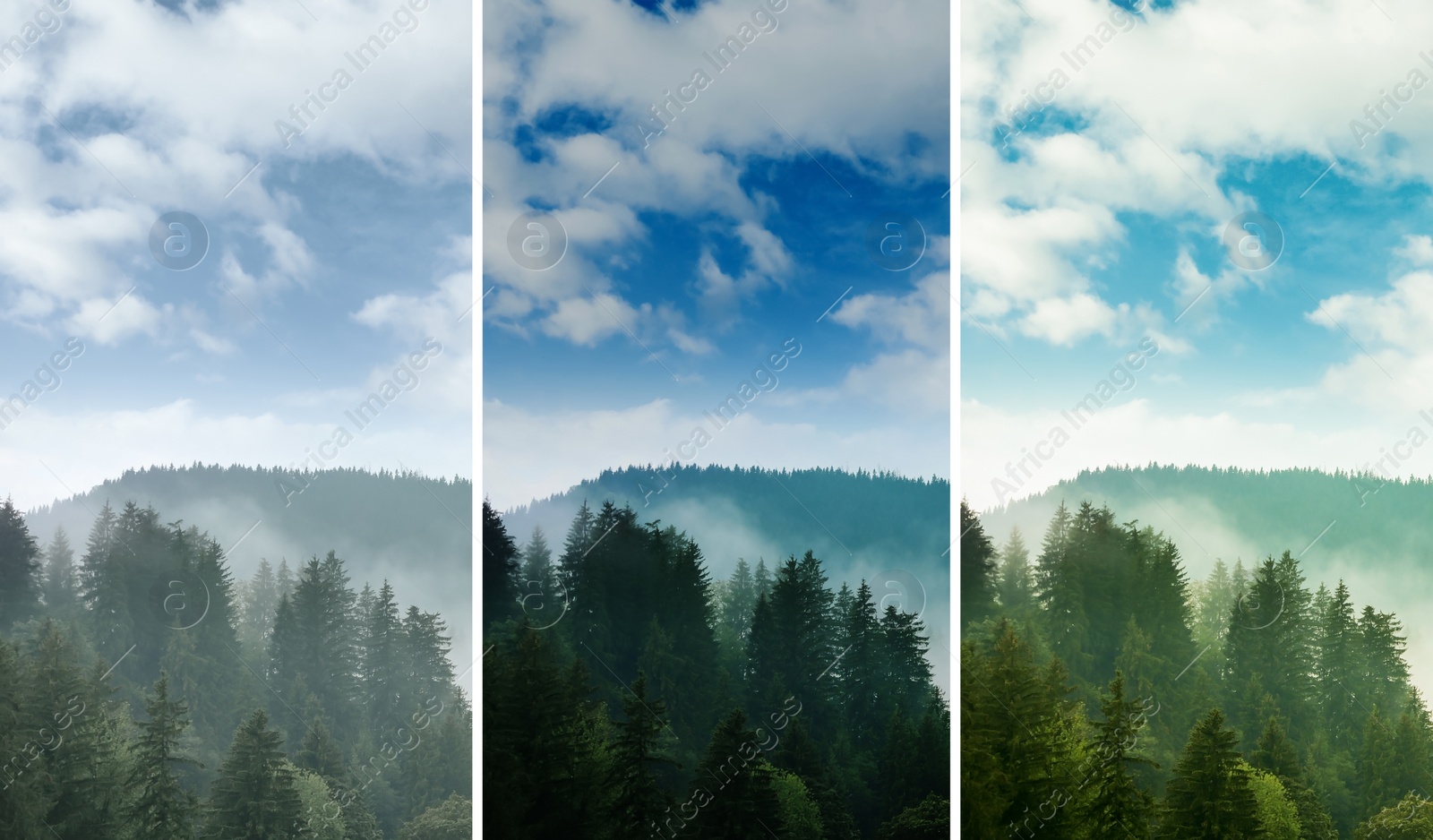 Image of Photos before and after retouch, collage. Picturesque view of mountain forest in foggy morning