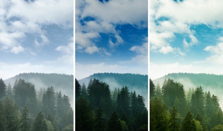 Image of Photos before and after retouch, collage. Picturesque view of mountain forest in foggy morning