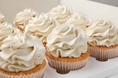 Photo of Tasty cupcakes with vanilla cream in box, closeup