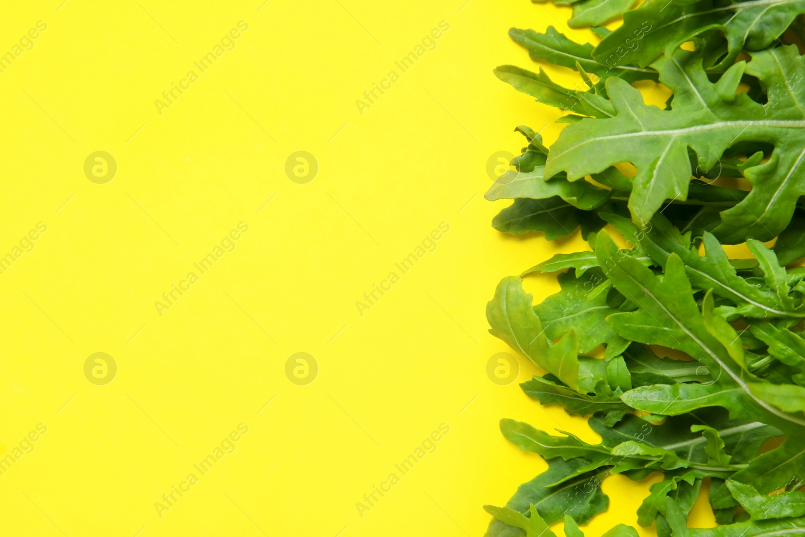 Photo of Fresh arugula on yellow background, flat lay. Space for text