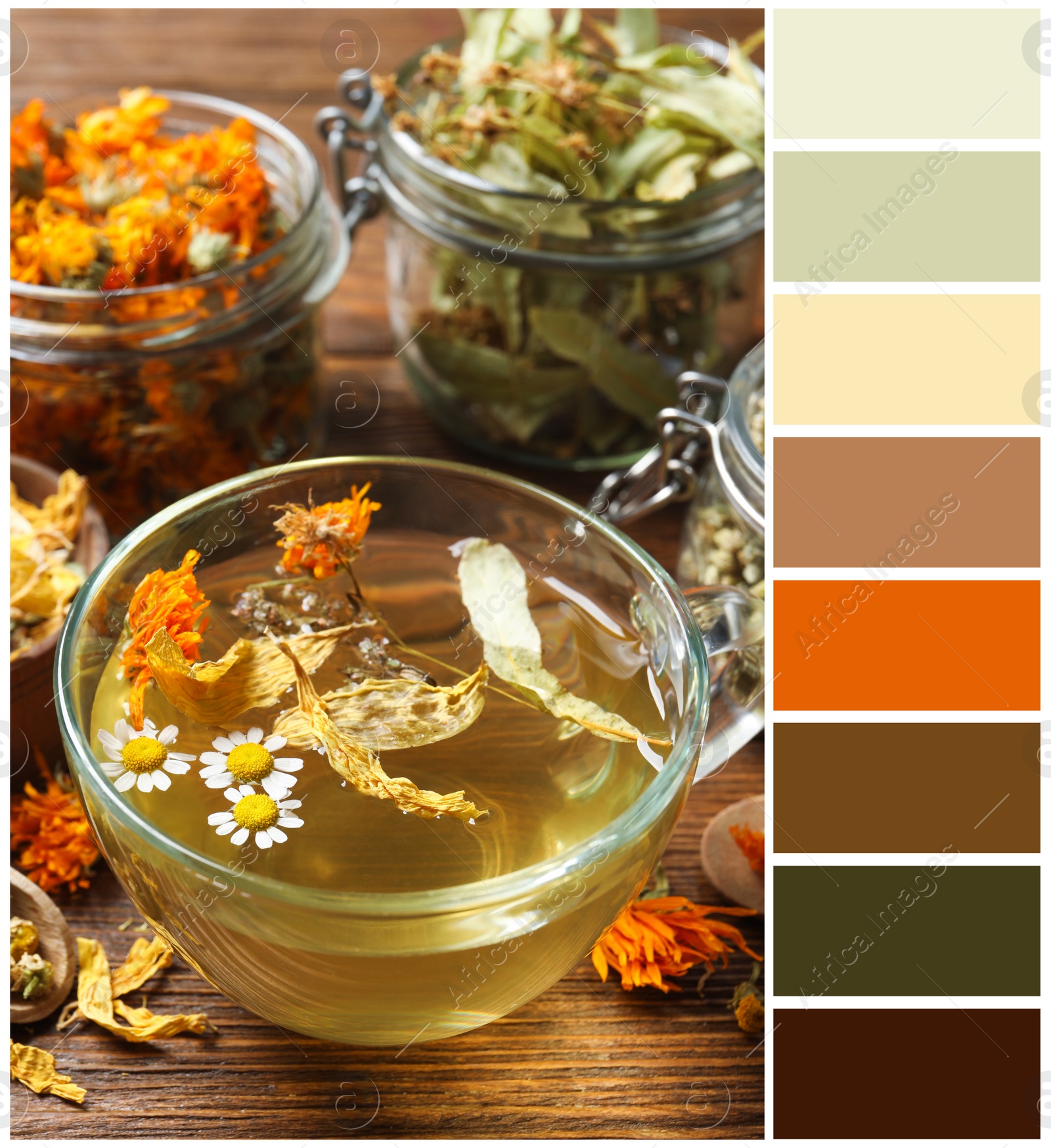 Image of Freshly brewed tea and dried herbs on wooden table and color palette. Collage