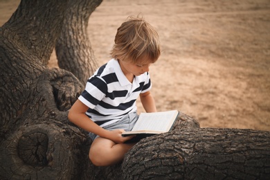 Cute little boy reading book on tree in park