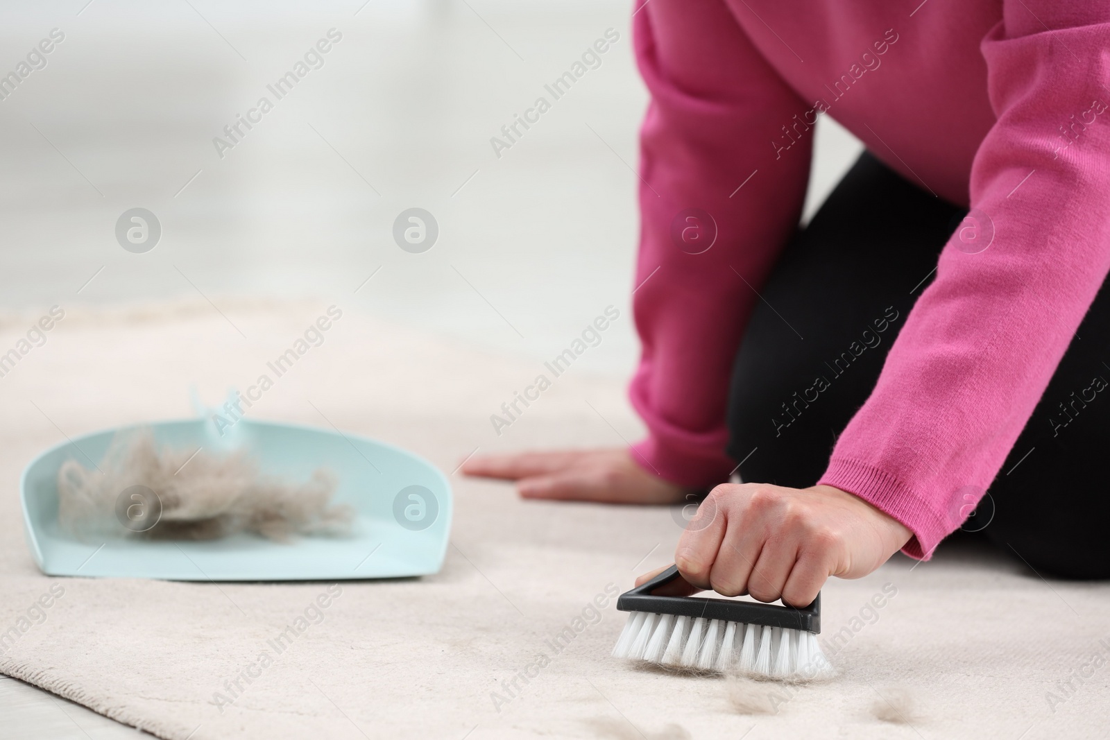 Photo of Woman with brush removing pet hair from carpet at home, closeup. Space for text